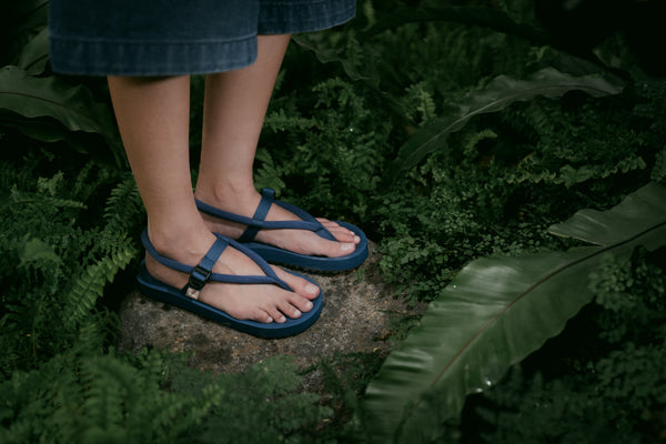 Wakatobi Toba Blue